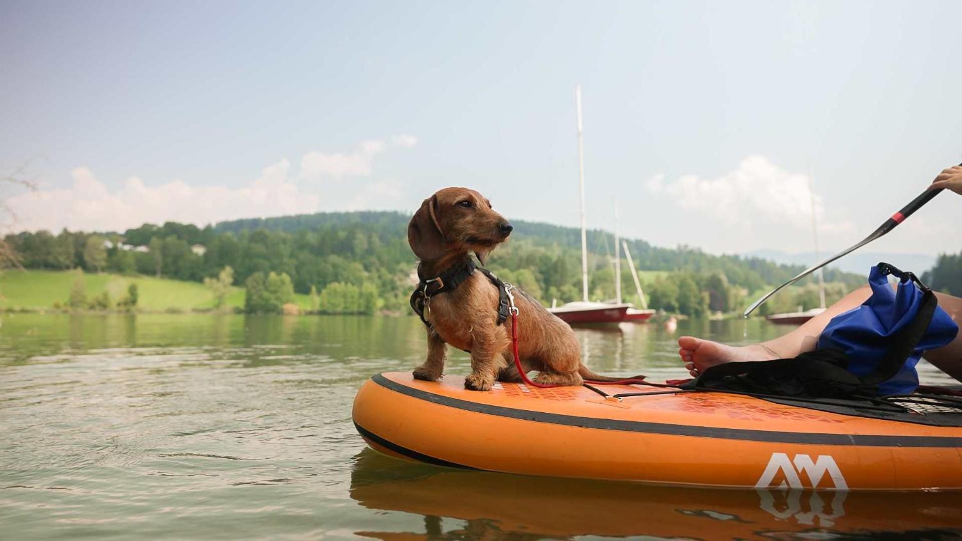 Feriendorf Am Maltschacher See Feldkirchen in Kärnten Esterno foto